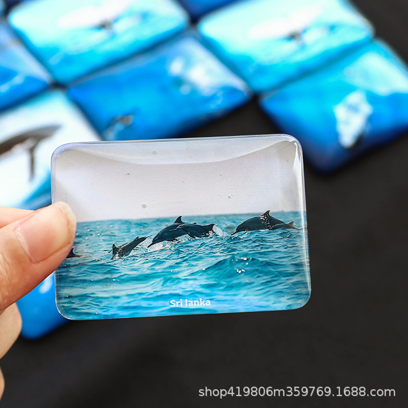 海4.jpg