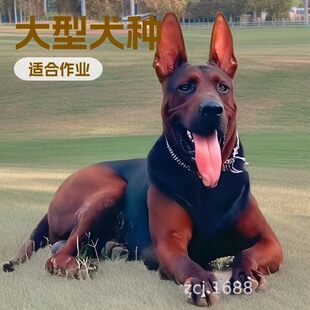 �R�ݼt�o�lȮ����Ȯ�Ѿ�Ȯ�K�tȮ����Ȯ������w������ͥ��HȮ