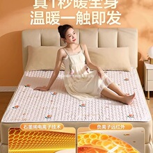2025新款电热毯单双人电褥子双控调温石墨烯宿舍家旗舰店