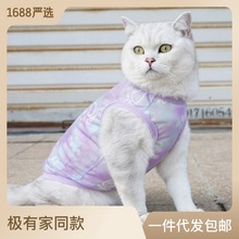 宠它新款时尚夏季猫衣服防掉毛蓝猫布偶德文可爱宠物背心薄款批发