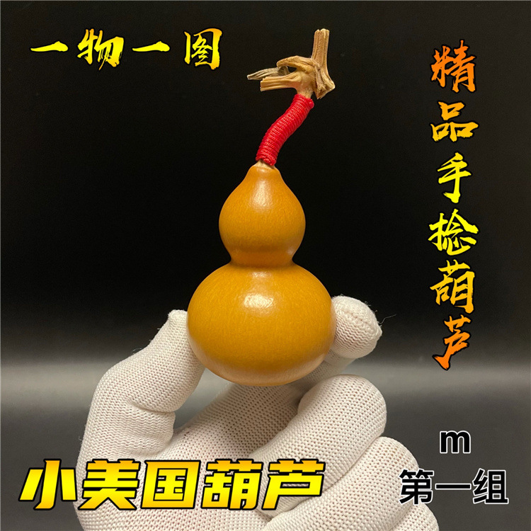 带龙头手捻文玩小美国葫芦铁包金草里金一物一图随身把玩