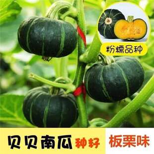 �GؐؐС�ϹϷN�ӷN�����ݰ�������������������߮a�����ȫ