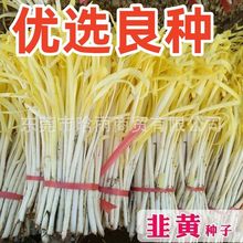 ������S�N�ӌ��~���۾²����͵͜������r�������ļ��Nֲ�߲˷N��