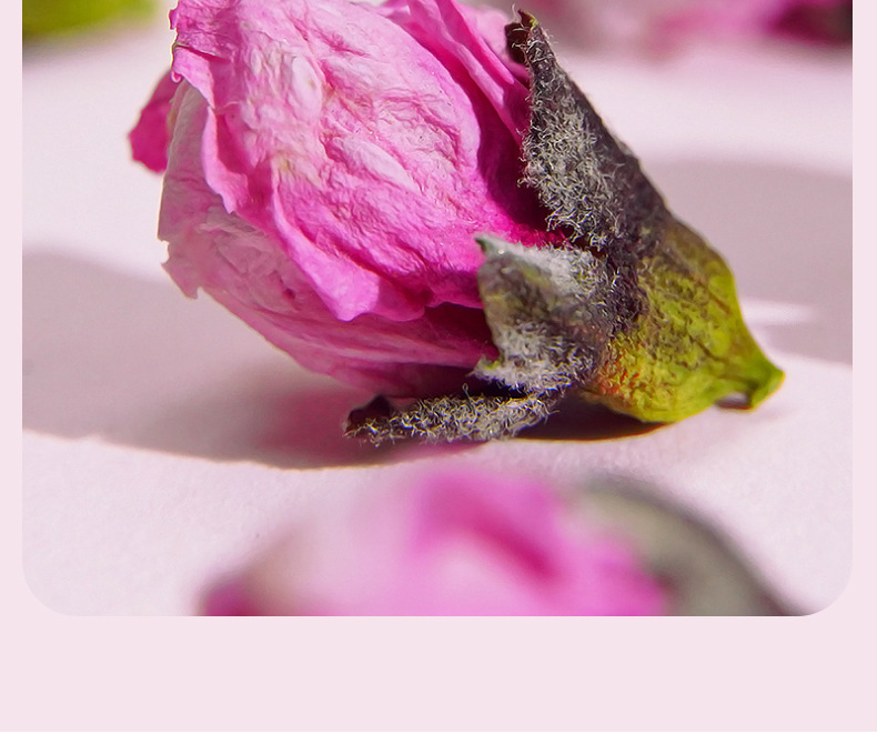 Dried Peach Blossom Buds Tao Hua 500g Food Grade Loose Flowers for Tea and Infusions 2025 New Harvest in use
