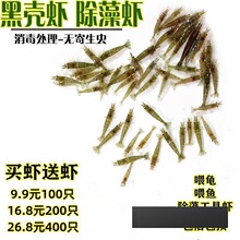 ��ֳ���Ļ��rС�^�p��ˮ�r������坍�r��ˮ�~�����B��С�rι��