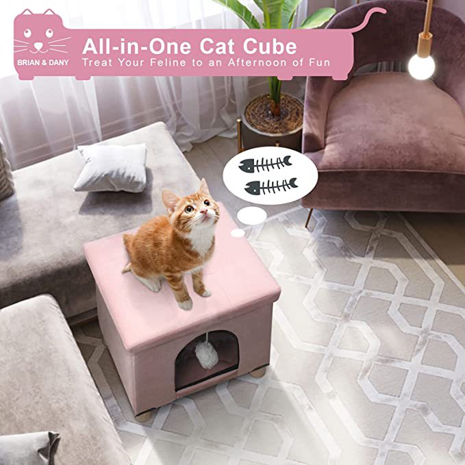 71eoG805QlL._AC_SX679_