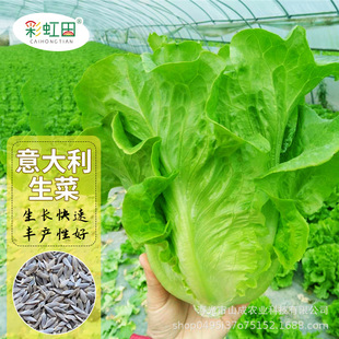 ��������˷N���ͳ�̦�_�R�����͟��ȸ�������˷N���ļ��߲˷N��