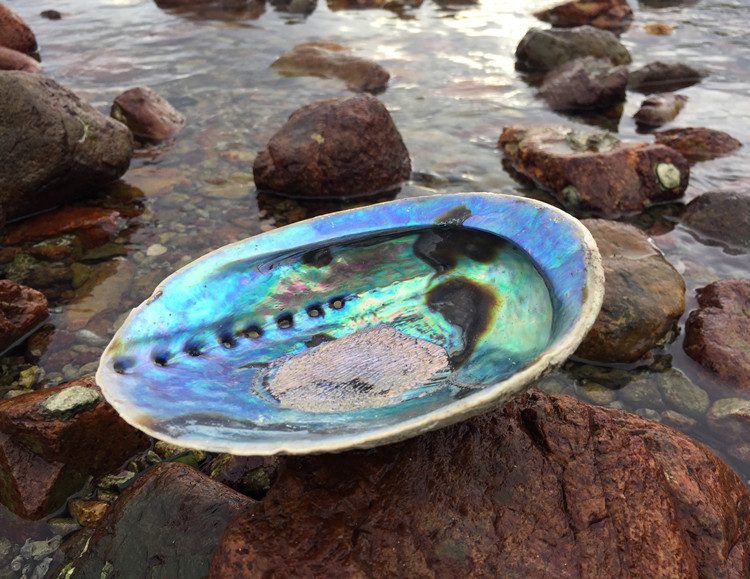 gGqUif2gxdSGFui65Mkf1D9Z0uXYu7dorrNJ