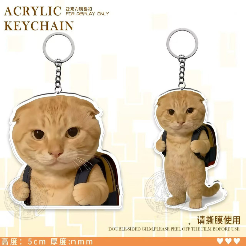 Round-Headed Elderly Cat Acrylic Keychain, Cute Pet Backpack Pendant for Students, Creative Adorable Pet Accessory Small Hanging Ornament