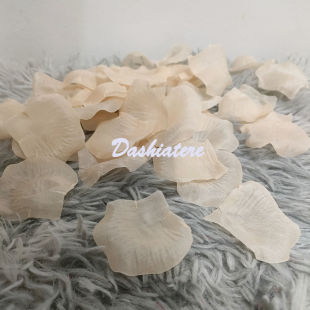 �㙉ɫ��������������˹��b��÷��g�������{��Y�Y�����շՇ�