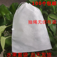 環保束口水果葡萄套袋無紡布抽繩防蚊蟲防鳥生態干燥劑育苗園藝袋