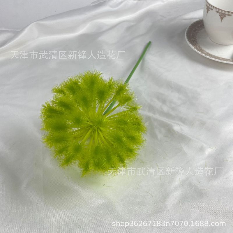 タンポポは玉ねぎの花球の造花撮影だけを模倣しています。|undefined