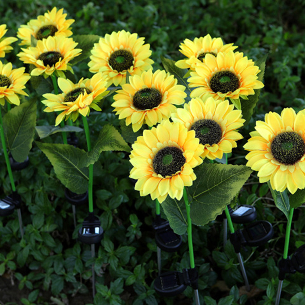 一键复制_20230505230502