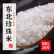 东北大米珍珠米20斤  家庭装秋田小町新米5kg  东北寿司圆粒粳米