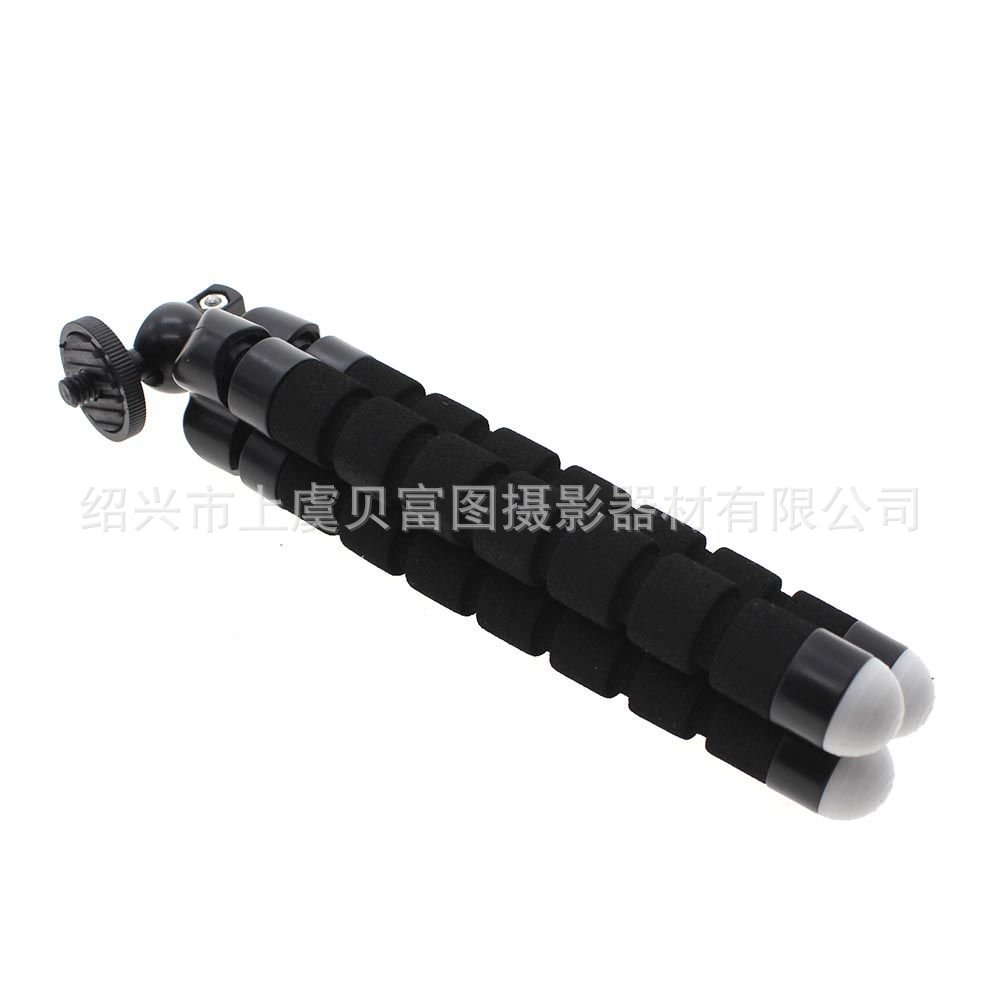 51x6z9o+-3L._SL1000_