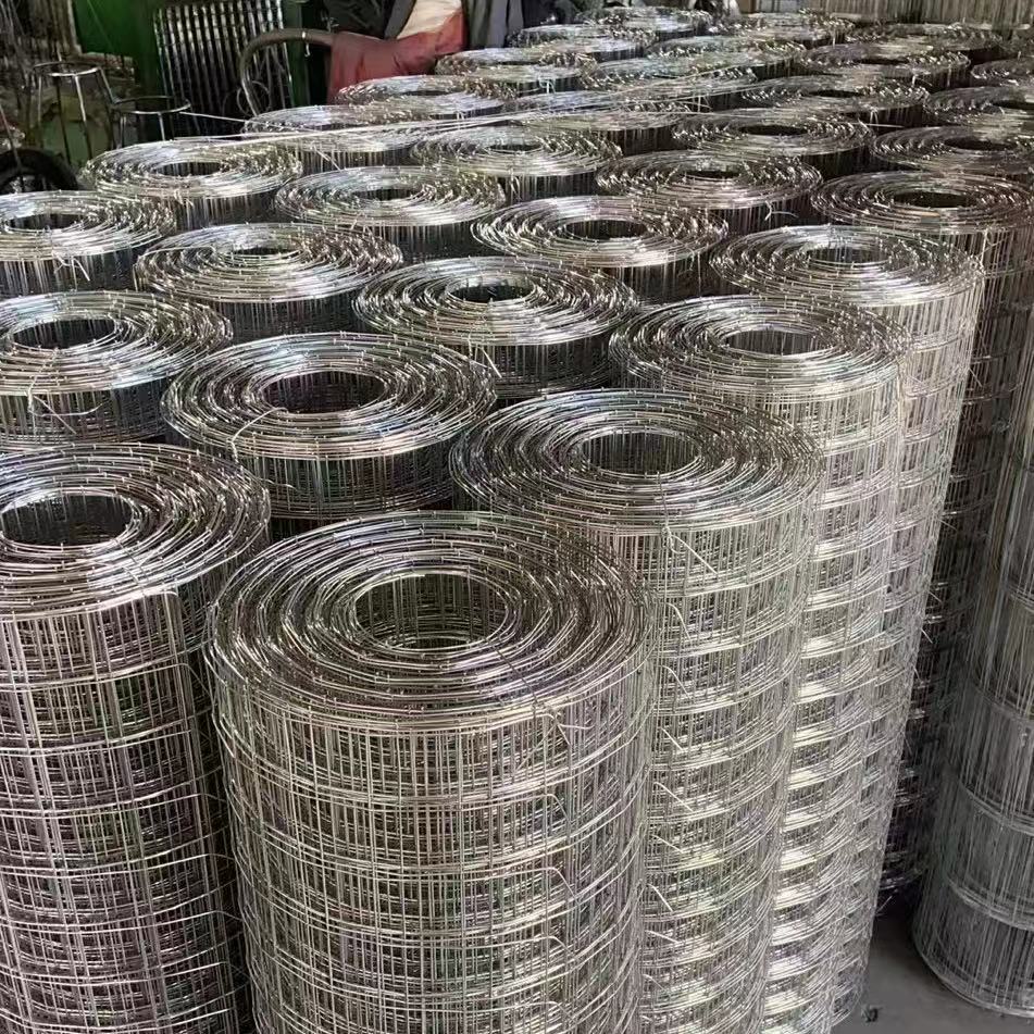 厂家销售钢结构屋顶保温用不锈钢网 镀锌铁丝网 电焊网量大从优