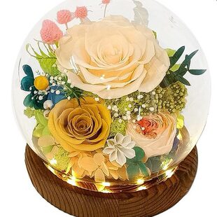 Cross -border Amazon spherical glass cover eternal flower finished flower products roses sunflower carnations love lover Mother's Day gift