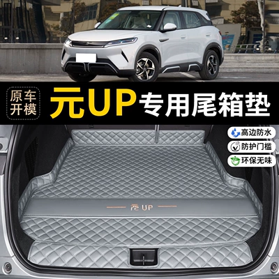 Trunk Mat | coverage car accessory, modified