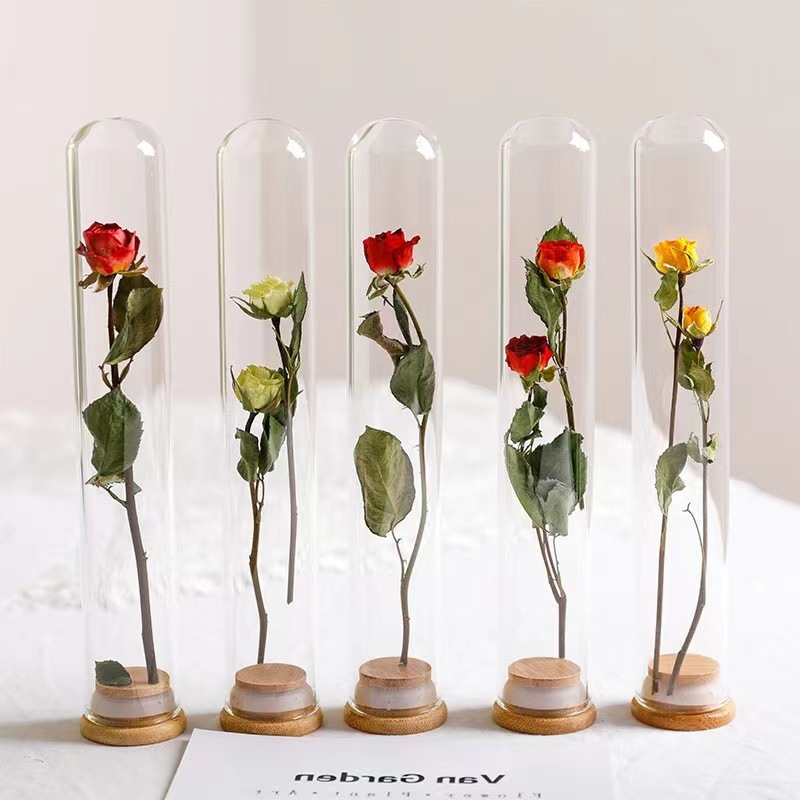 Cubierta de bambú sellada tubo de ensayo de vidrio de borosilicato planta espécimen flor seca ramo de almacenamiento cubierta de vidrio decoración decorativa tubo de ensayo