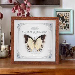 �������x�˱��b����w�[���ֹ�Diy��H�Y������˱������