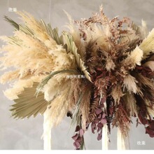 �ɻ��JȔ�젝�ڒ�ʽɭϵ���b���T�^�b��������b�Ғ�ֱ��