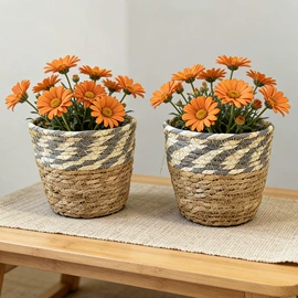 花盆容器;壁挂、壁饰;装饰花瓶