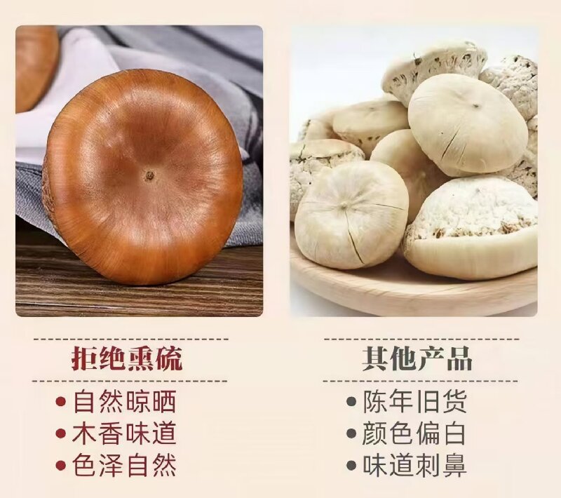 Feng Liu Guo (Lithocarpus/Sclerophyllous Oak Fruit) — Dried Food Herb for Wine Infusion & Soup in use