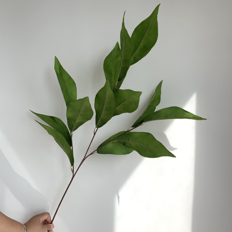 微信图片_20230920145010_副本