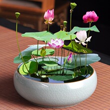 ��ɰ���џo��ˮ���~�X��˯��ɏˮ�ɾG�}�մɴ�̖�A���մɻ����̨