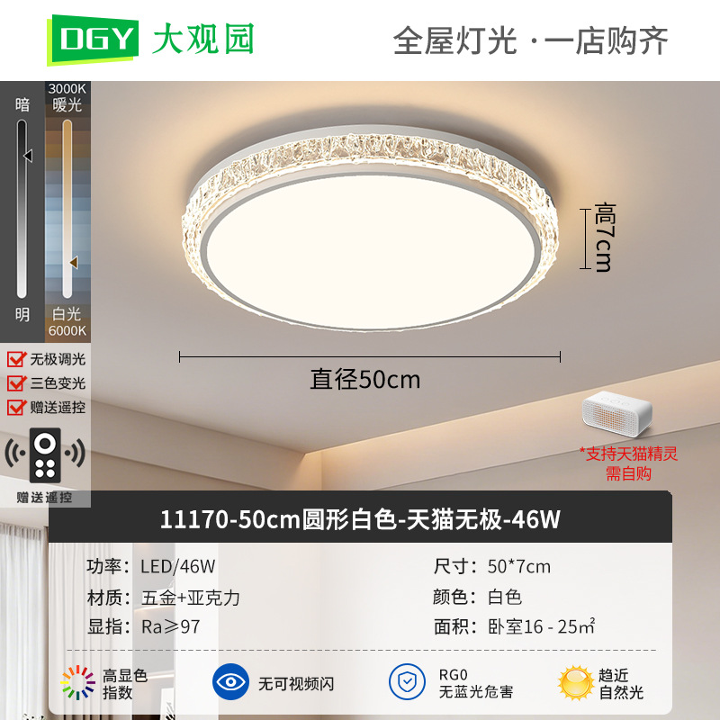 Luz de techo de sala de estar moderna y simple nueva luz de lujo de alto nivel, luz de techo de protección de ojos de espectro completo 293L