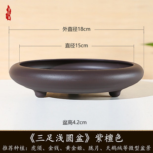 Three-legged shallow pot round pot imitation purple sand flower pot small size indoor moss plant calamus miniature bonsai resin pot