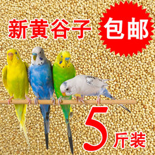 黃谷子紅谷子鳥食玄鳳牡丹虎皮鸚鵡混合飼料文鳥玉鳥珍珠繁殖鳥糧