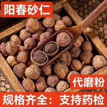 中药材 砂仁产地货源 阳春砂仁 砂仁小豆蔻可火锅底料调味香料