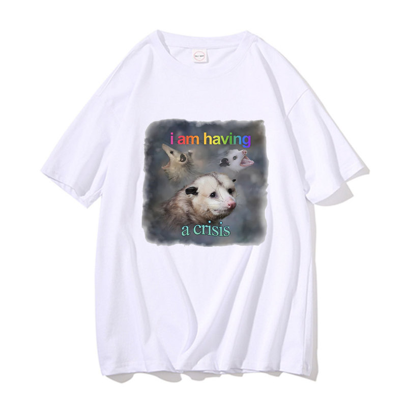 Funny Possum Meme Graphic T-Shirt I Have a Crisis Possum Text Art T-Shirt Cute Men Women Funny Possum Meme Graphic T-Shirt I Have a Crisis Possum Text Art T-Shirt Cute Men Women
