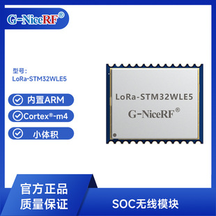 Siwei Wireless Soc Chip System Wireless Module Lora-Stm32Wle5 Ultra-Small Size Built-In Arm