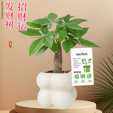 �lؔ��С���ԾGֲ�҃ȿ͏d���ܺ��Bֲ���辰��ؔ�k���������ȩ