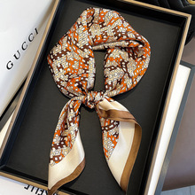 70cm ����zͨ�ڿ��Ử����@�����������|�нz���������^����