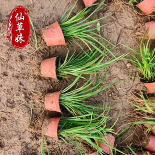 ���l����ݼt����ݾG��������ͥԺ��·�G���޸������ļ��_��