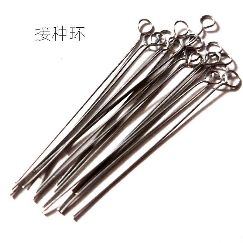 接种环接种棒实验室微生物细菌采样棒镍铬接种针取菌镍铬丝