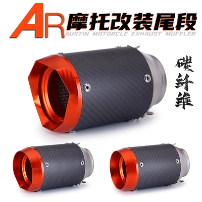 NINJA300 DUKE R3 Carbon — Exhaust pipe