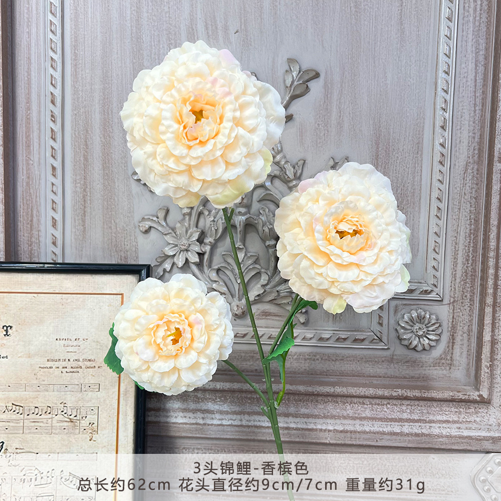 XQ-3头锦鲤-香槟色
