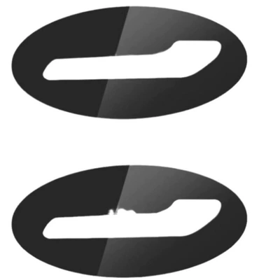 Car paint protective film: Tesla Door Handle Protection