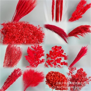 �tɫ�������ɻ��滨��c��Y�����b������������Շ���ϲ�c����