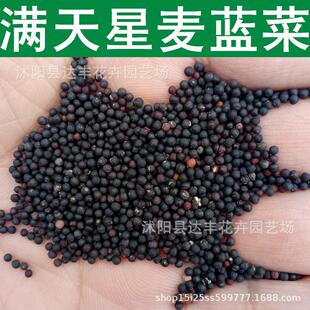 MǷNl{ ǝM ~ R Ϥ ·N