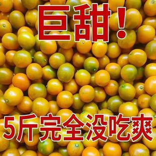 �V���ڰ���۴�Ƥ��ۑ������rˮ�����ӬFժ������]���Sһ�����l