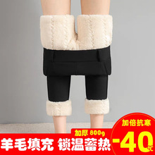 800克特厚羊羔绒棉裤女外穿秋冬加绒加厚高腰显瘦保暖铅笔裤防寒