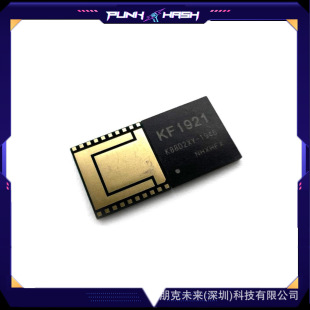 Kf1921 Hashing Chip Kf1921 03C 03g 10C 10g Suitable for Whatsminer M20 M21