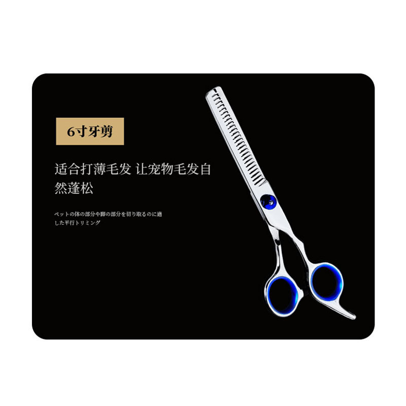 6 인치 둥근 머리 애완 동물 치아 가위 (파란색 나사 파란색 원)