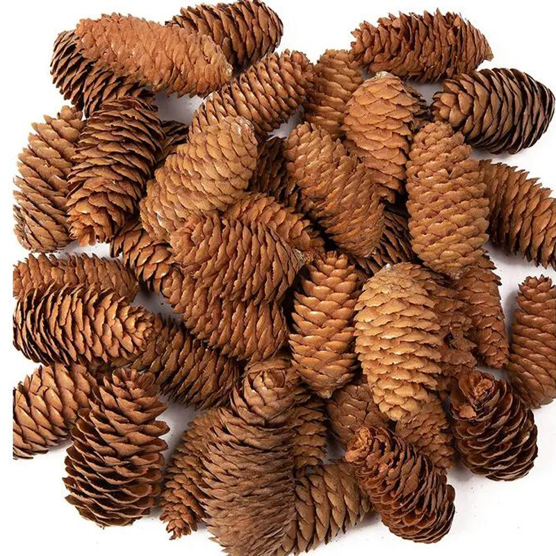 Procesamiento y embalaje de piñas Flores secas personalizadas Pinus olinus americano Pinus olisina local Pinus scale hilo colgante de piñas naturales image 5