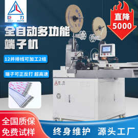 厂家电子线五线双头端子机排线单头打端沾锡机压接机全自动端子机